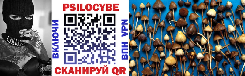 Купить  Талдом  Псилоцибиновые грибы прущие грибы 