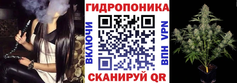 Купить где  Талдом  Канабис планчик 